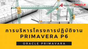 การบริหารโครงการเรื่องการปฏิบัติงานด้วยโปรแกรม Primavera P6