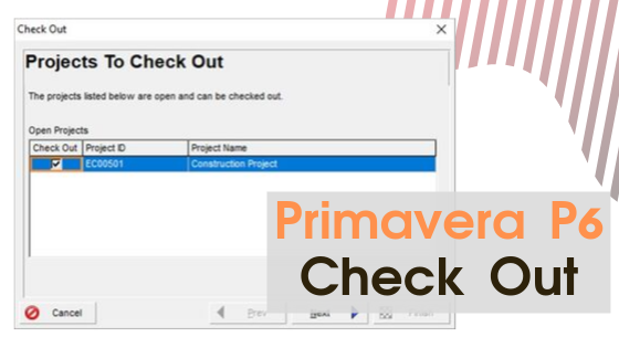 Primavera P6 Check Out