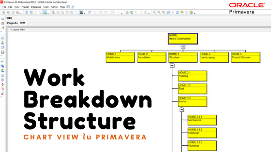 การสร้าง Work Breakdown Structure รูปแบบ Chart View ใน Primavera