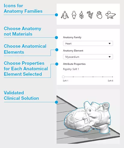 Stratasys J750 Digital Anatomy Software