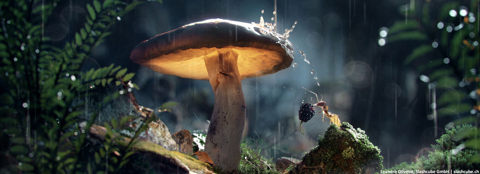 Corona Renderer Rock