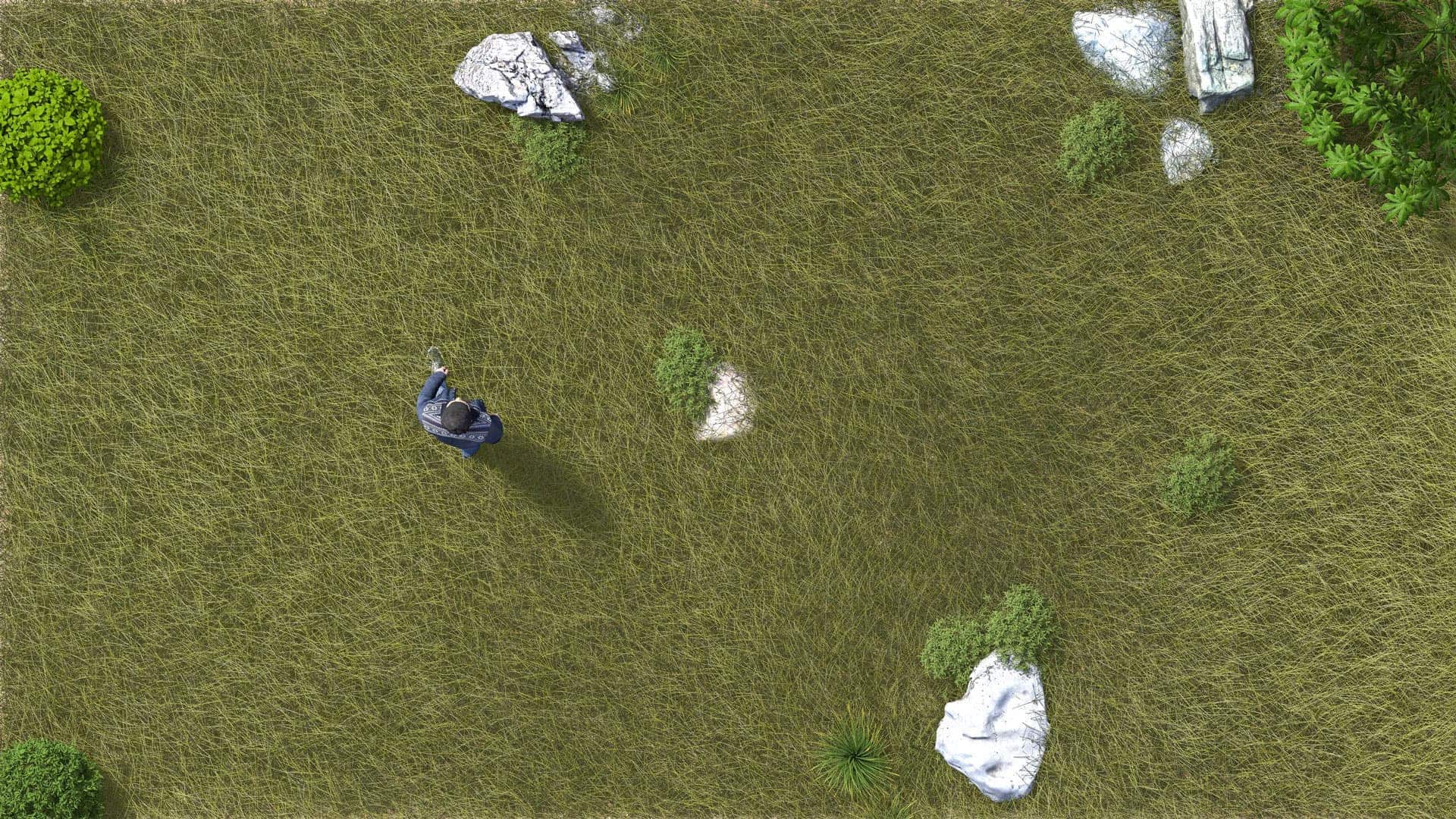 Artlantis-3D-grass